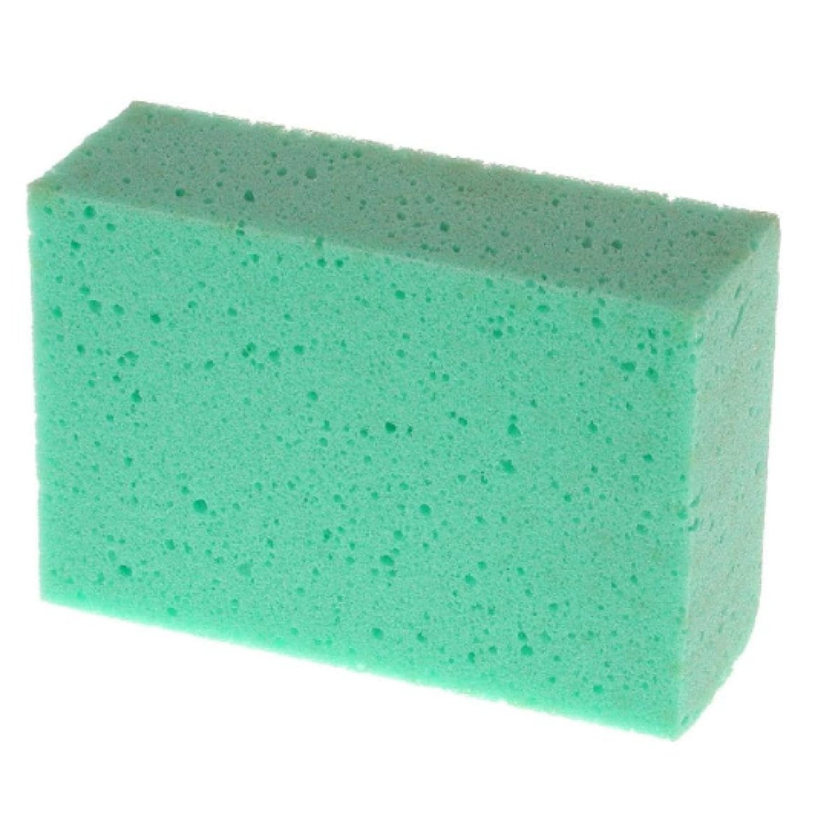 OX Professional OX-P250313 130mm (5.12 in) x 200mm (7.87 in) General Purpose Sponge